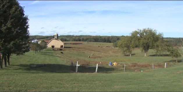 Berry farm in Kentucky. (Clip from PBS Religion & Ethics NewsWeekly)