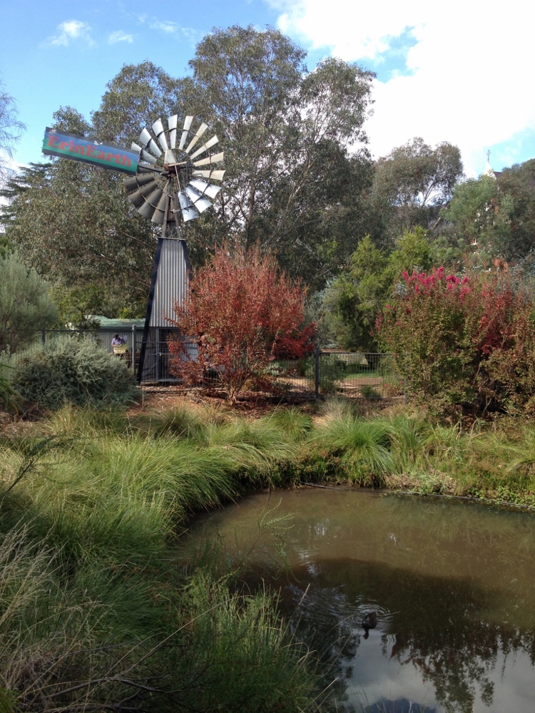 A windmill brings up fresh water on Erin Earth's property. (Tina de Jong)