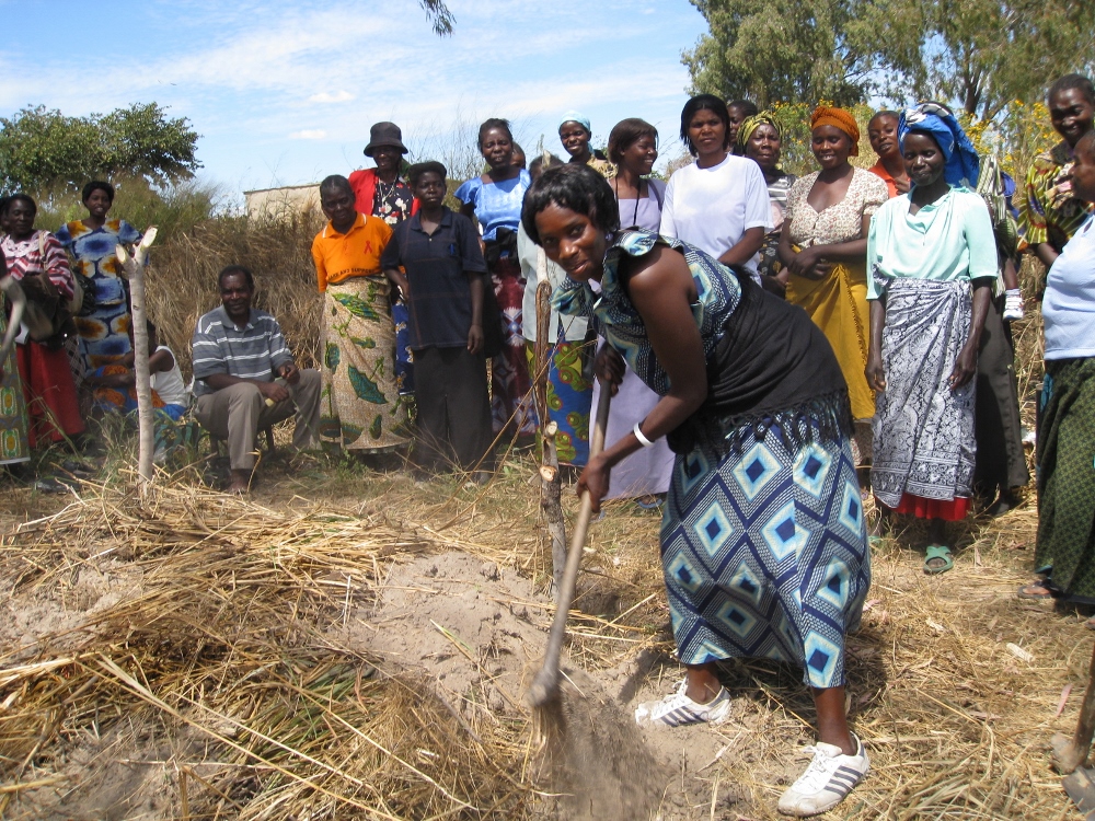 Demonstration farming, Zambia, 2008. (Virginia McCall)
