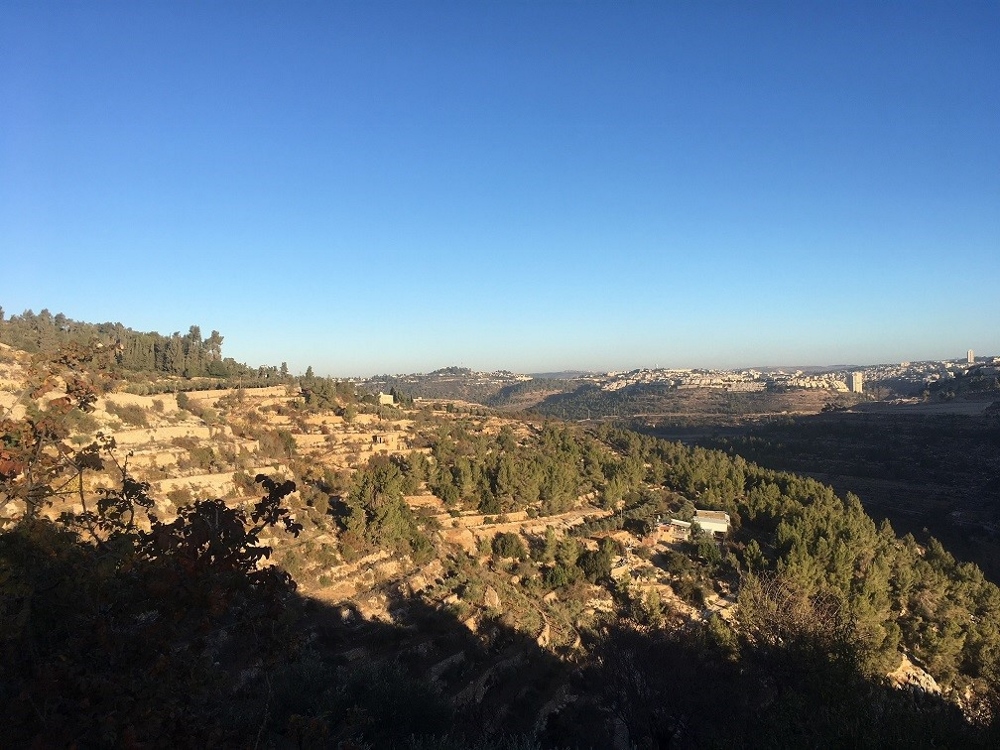 View of Cremisan Valley, land owned by the Salesian Sisters. It's an important archeological site with caves, from the Canaanite period. (Natalia Liviero)