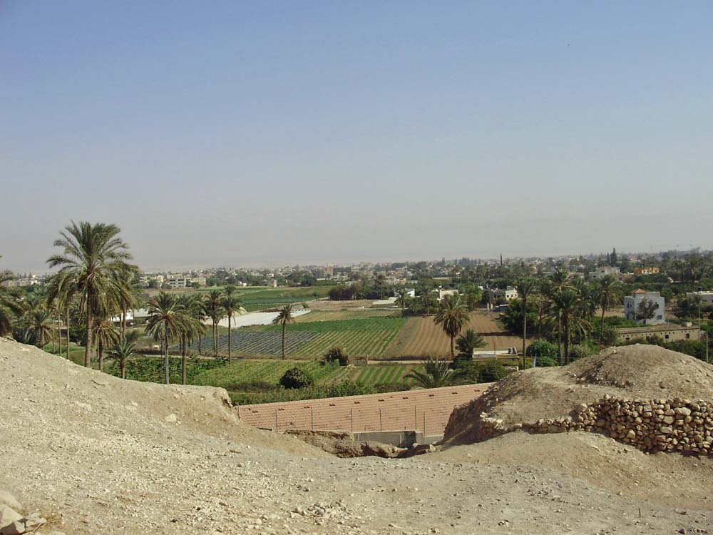 Jericho in 2010; a green oasis in the middle of the desert (Natalia Liviero)