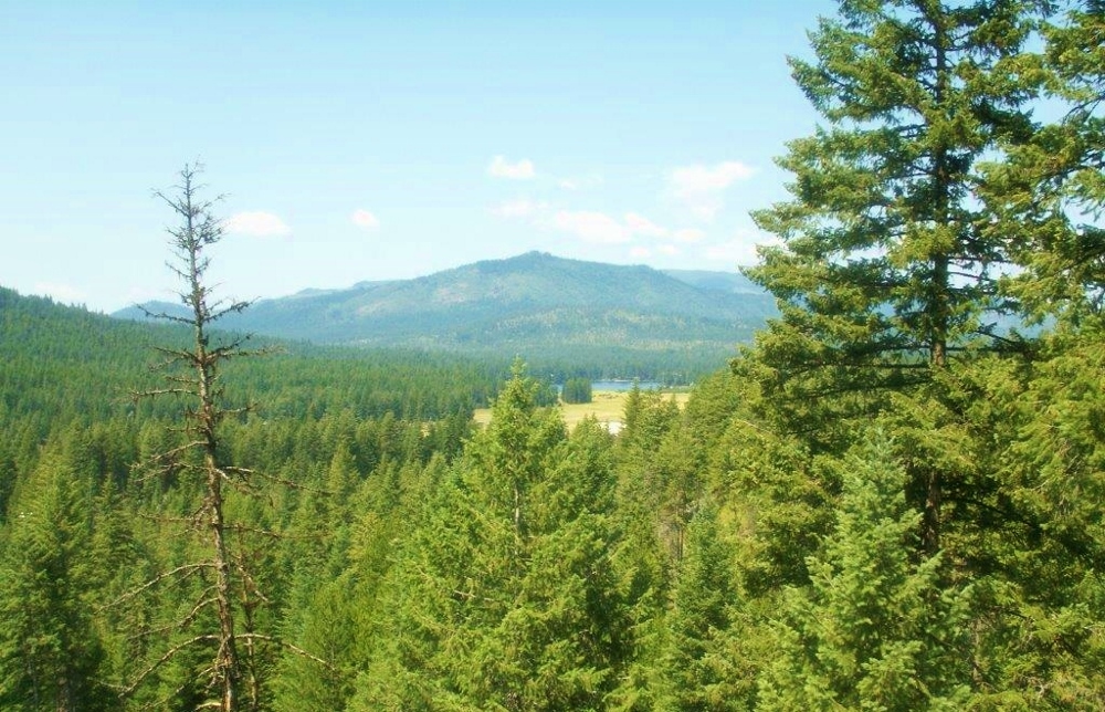 A view of Lake Sacheen from the Carmelite sisters hermitage. (Provided photo)