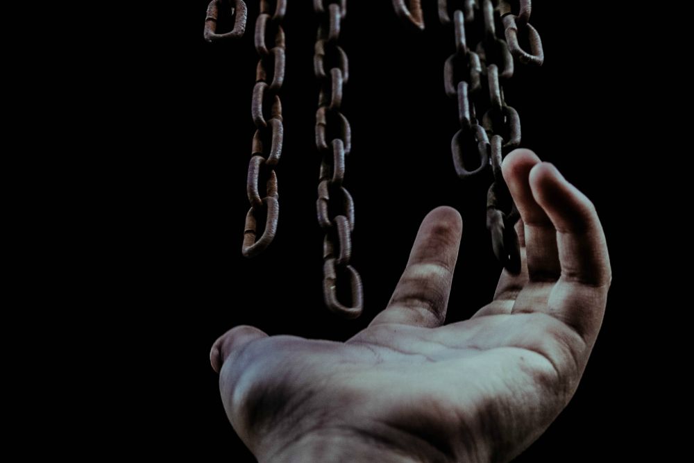 (Unsplash / Zulmaury Saavedra)