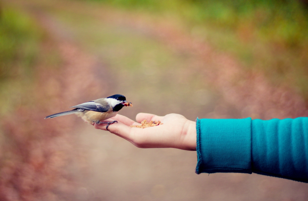 (Unsplash / Bonnie Kittle)