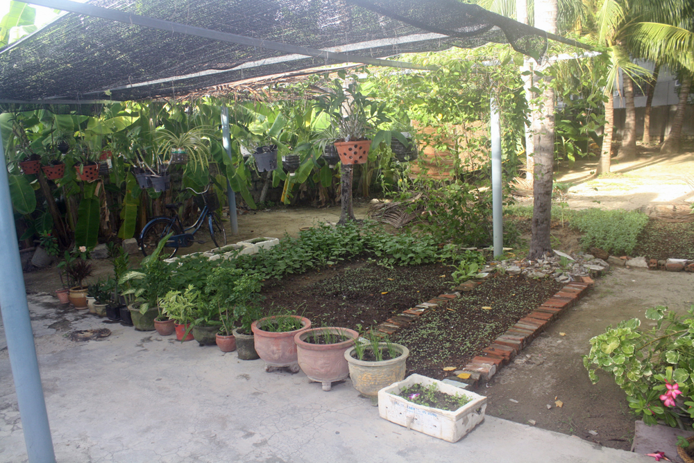CSH nuns cultivate vegetables for their needs. (GSR photo / Joachim Pham)