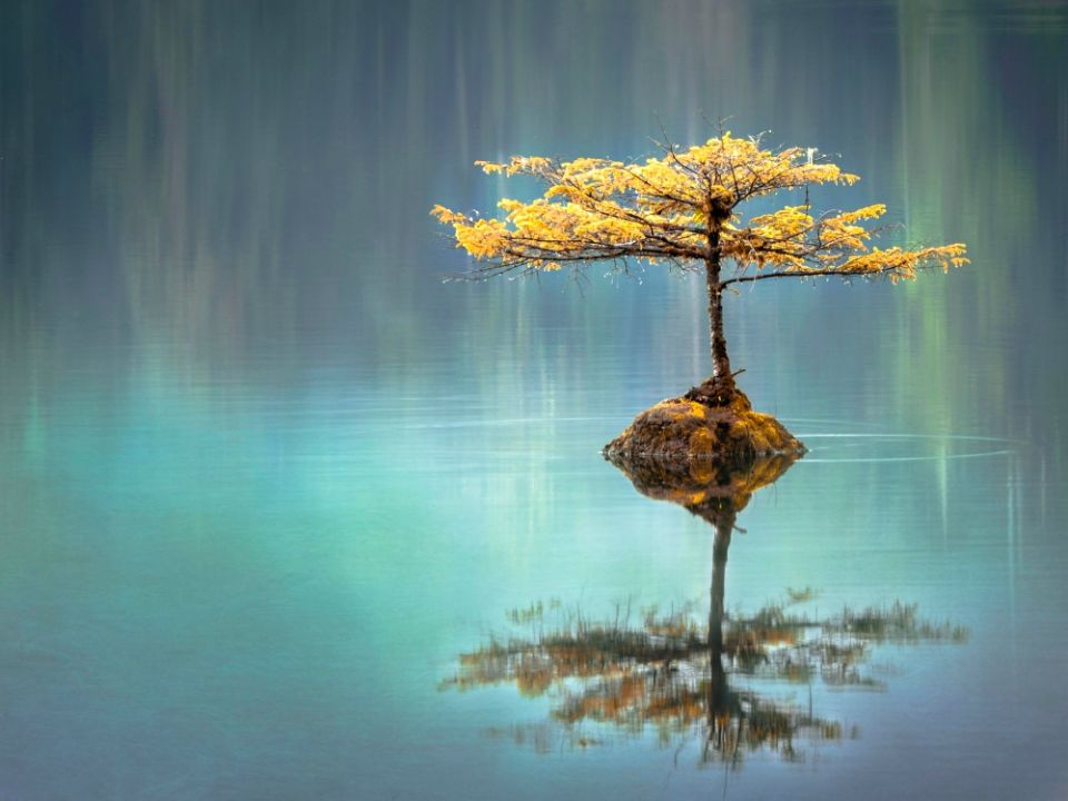 (Unsplash / Faye Cornish)