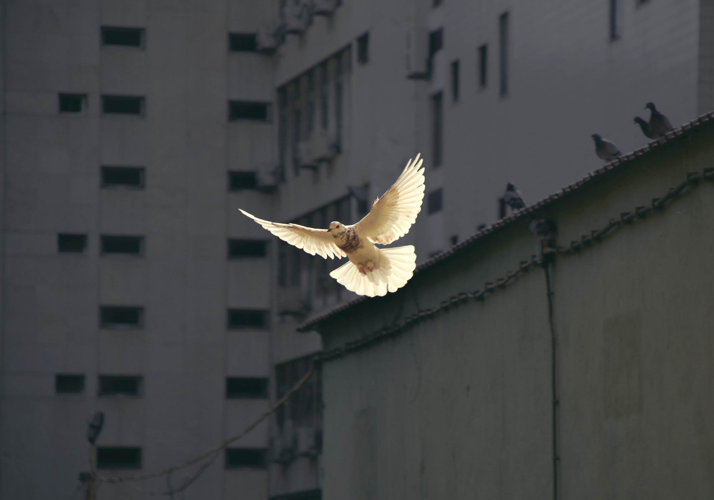 (Unsplash/Sunyu)
