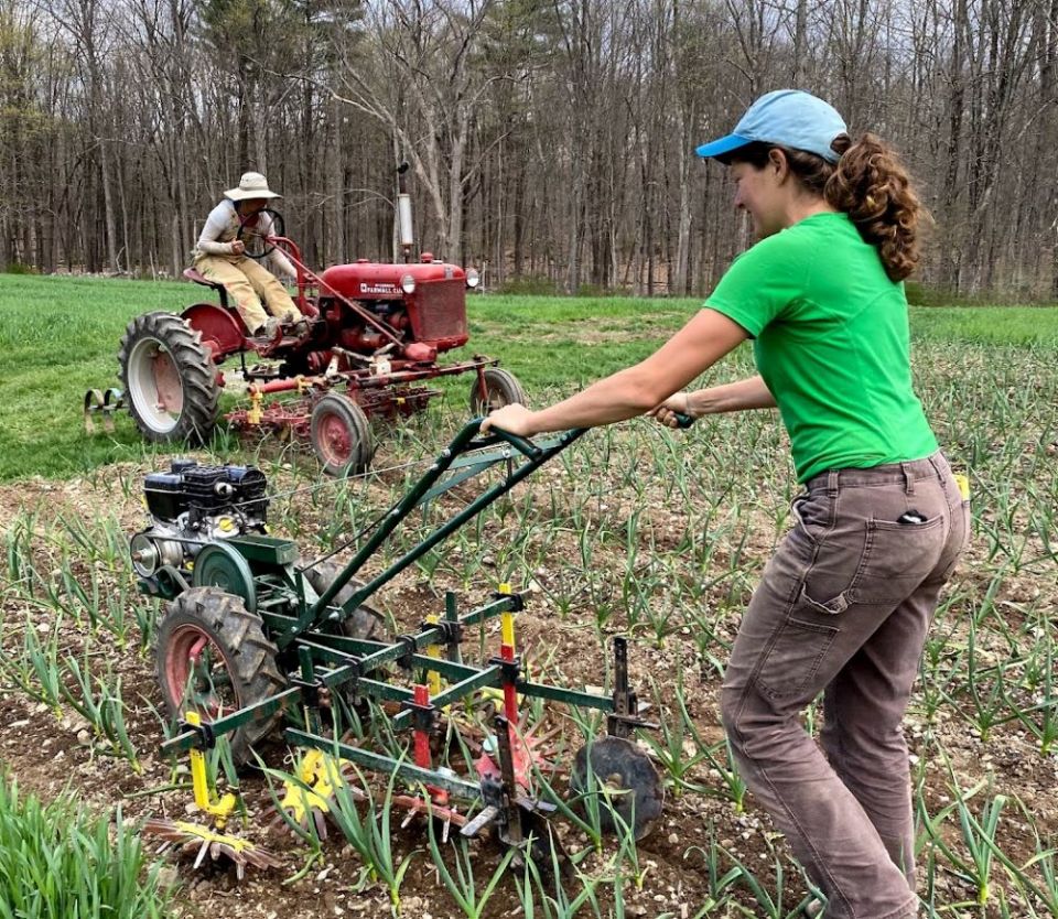 Sisters Hills Farm apprentices Serena Xu, on the tractor, and Elaina Harper, foreground, cultivate a field of garlic during the 2021 growing season. (Courtesy of Sisters Hill Farm)