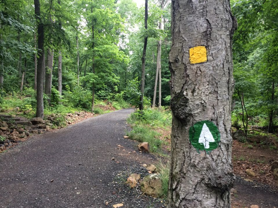 A trail blaze on the Sleeping Giant trail in Sleeping Giant State Park, Connecticut (Courtesy of Kathryn Press)