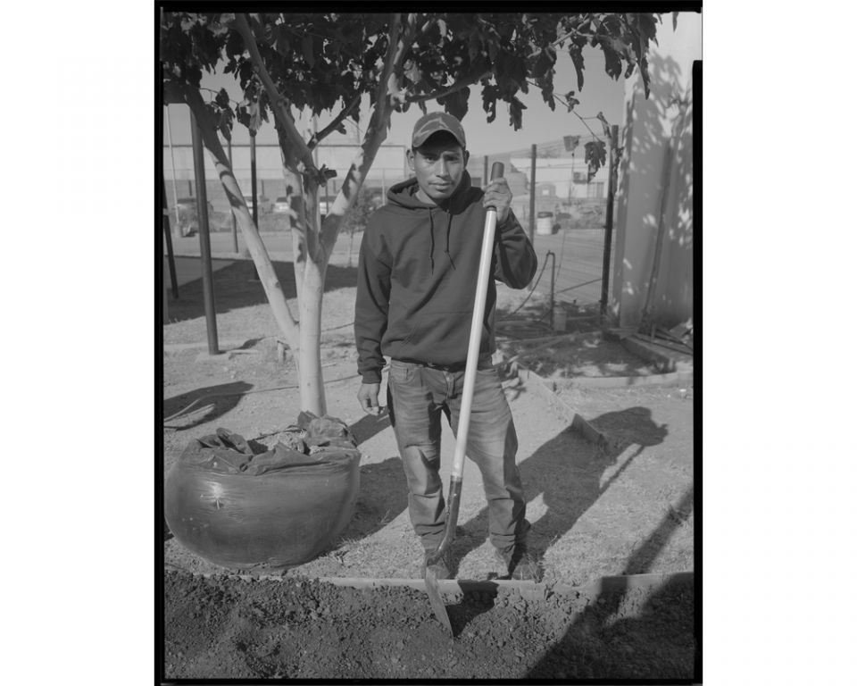Jesus, another migrant who was expelled the previous night, helps install the garden at the Centro de Recursos. (Lisa Elmaleh)