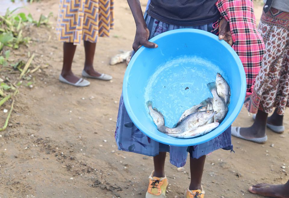 A woman holds fish from Lake Victoria in Kisumu in southwestern Kenya on Nov. 5, 2021. She says she sleeps with fishermen who offer the best deal on any given day. (GSR photo/Doreen Ajiambo)