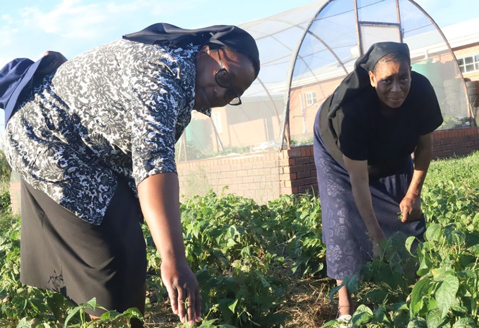 Srs. Lylian Mphutlane, left, and Cecilia Sekhopha of the Sisters of St. Joseph of St.-Hyacinthe tend to their vegetables March 2 on their farm in Sekamaneng, a town located 4 miles from Lesotho's capital, Maseru. (GSR photo/Doreen Ajiambo)