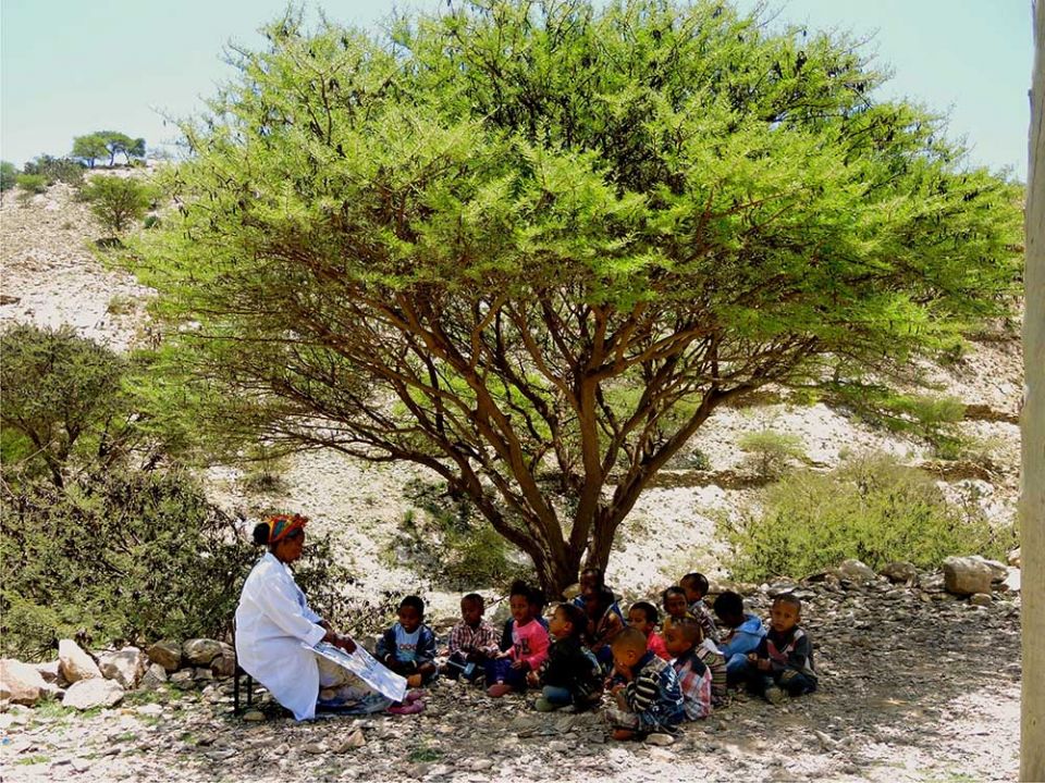 A teacher gives a lesson to kindergartners under a tree in the courtyard of the school in Dawhan, Ethiopia, in 2016. (GSR photo/Melanie Lidman)