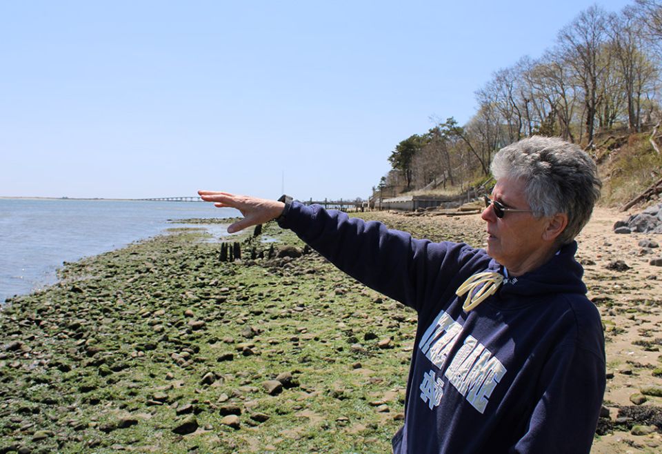 Sr. Kerry Handal is pictured on the beach overlooking Shinnecock Bay on eastern Long Island, where the Sisters of St. Joseph, Brentwood, own property and are supporting members of the Shinnecock Indian Nation in a kelp farming project. (GSR)