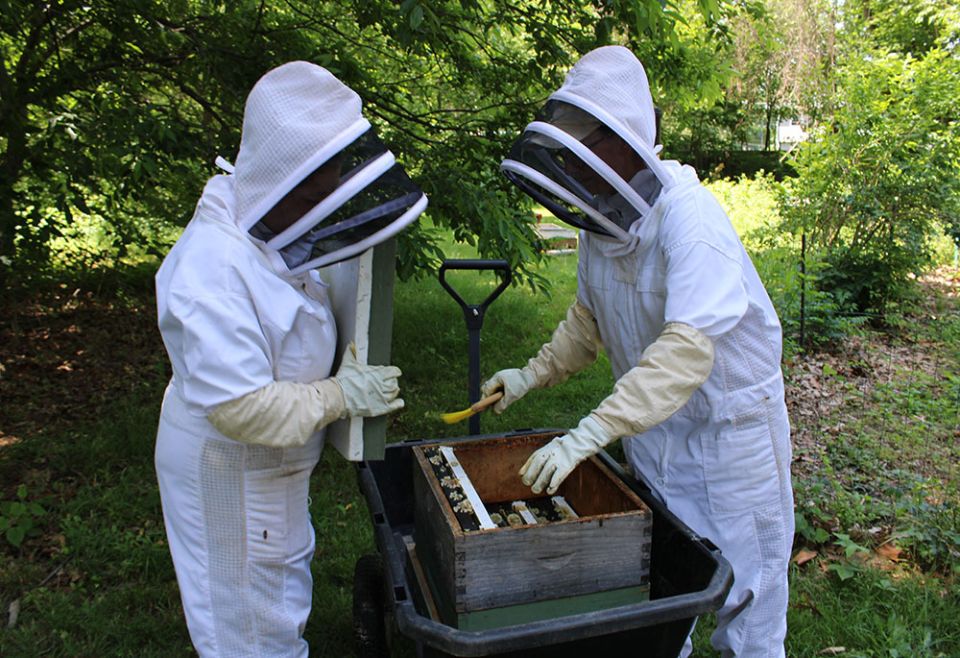 Beekeeping and the production of honey is part of a 3-acre "Garden Ministry" initiative on the campus of the Sisters of St. Joseph, Brentwood, in Brentwood, New York. (GSR photo/Chris Herlinger)