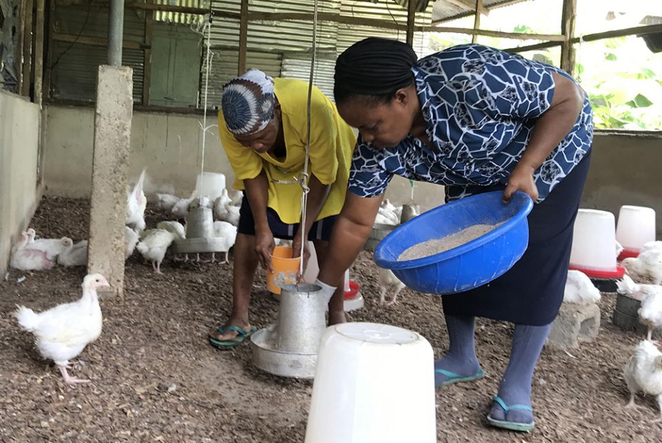 Ime Effiong (left, in yellow), one of the women who received mental health care from the Daughters of Charity of St. Vincent de Paul, tends to the birds on the poultry farm under Sr. Catherine Nkereuwem’s supervision in Uyo, a town in southeastern Nigeria