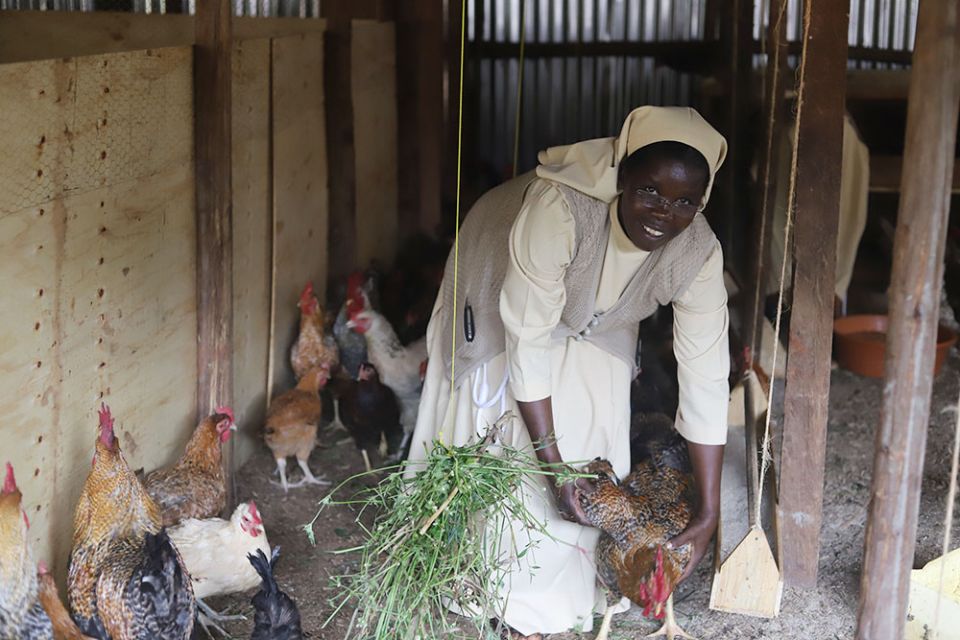 Sr. Rose Thumitho of the Little Sisters of St. Francis of Assisi tends to chickens on their farm on Feb. 23, 2021, in Jinja, Uganda. (Doreen Ajiambo)