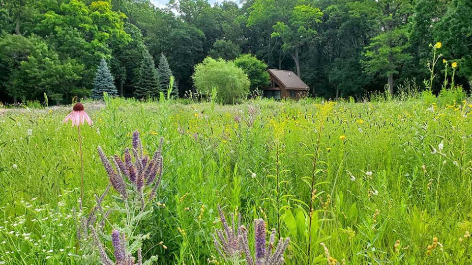 Prairie lands are among the 233 acres recently protected from commercial development with a conservation easement by the Congregation of Sisters of St. Agnes in Fond du Lac, Wisconsin. (Courtesy of the Congregation of Sisters of St. Agnes)