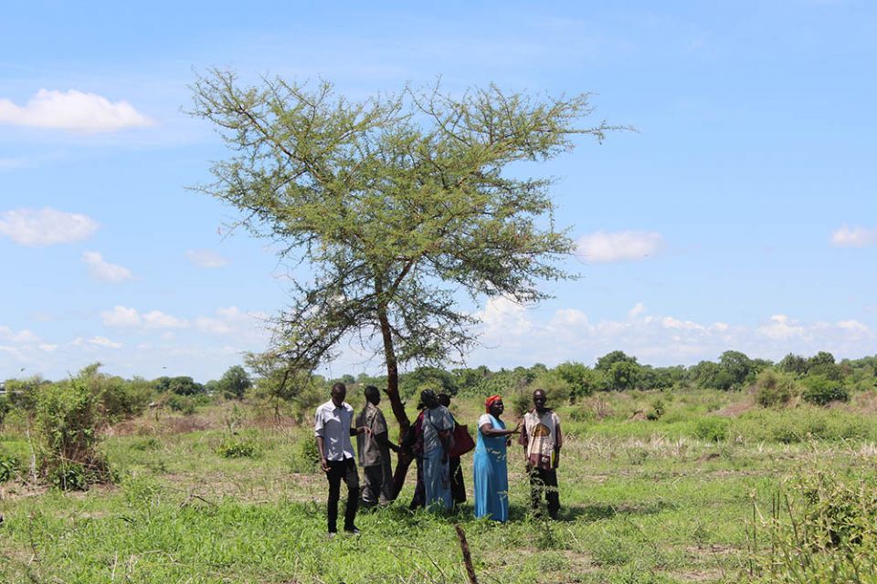Residents of the tiny village of Kabu, South Sudan, stand under a shade tree in 2017. In villages like Kabu, food security remains an important priority. (GSR photo/Chris Herlinger)