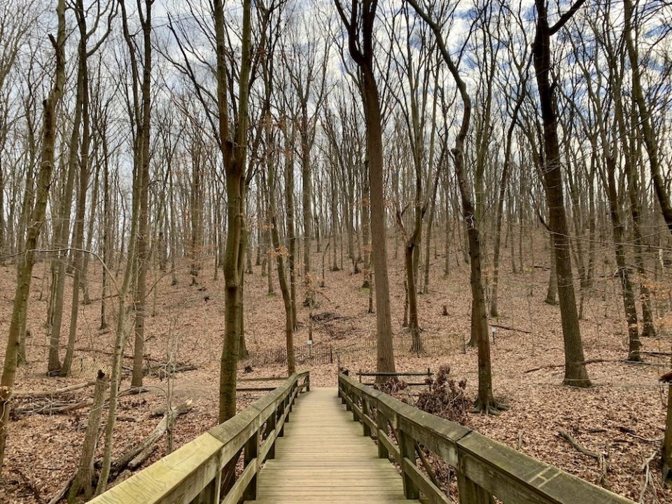 One of my favorite ways to spend my time in 2020 was hiking. This local trail is part of the amazing Monmouth County Park system. (Maddie Thompson)