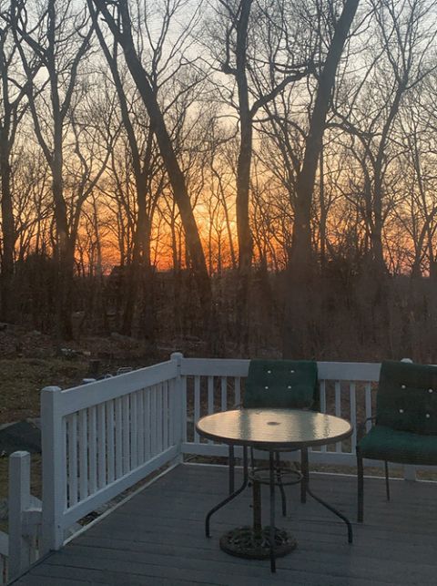 My backyard in Connecticut directly looks upon the sunset, and I almost forgot how beautiful the sky becomes every night. (Celina Kim Chapman)