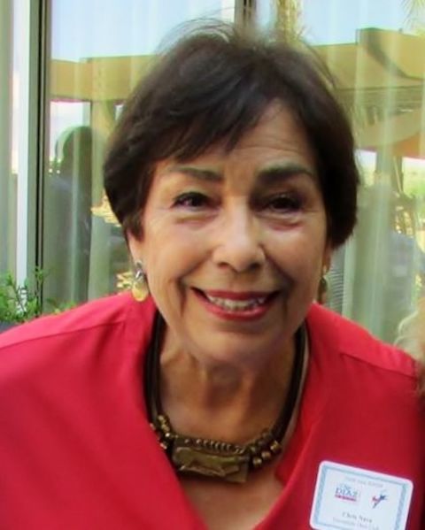 Christine Nava at a political fundraiser she co-chaired for a candidate running for mayor of Escondido, California, in 2014 (Provided photo) Christine Nava at a political fundraiser she co-chaired for a candidate running for mayor of Escondido, California, in 2014 (Provided photo)