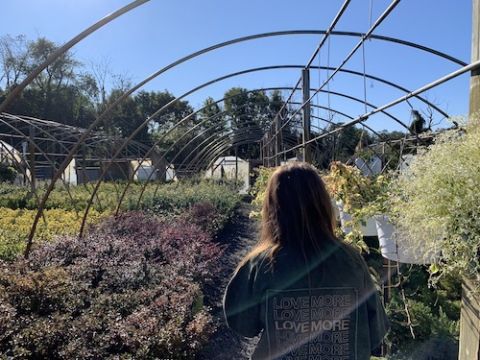 Former Good Shepherd volunteer Christina Hardebeck is the Collier Transition Program manager. She's pictured here walking through a nursery at a local farm on a fall day. (Maddie Thompson) Former Good Shepherd volunteer Christina Hardebeck is the Collier Transition Program manager. She's pictured here walking through a nursery at a local farm on a fall day. (Maddie Thompson)