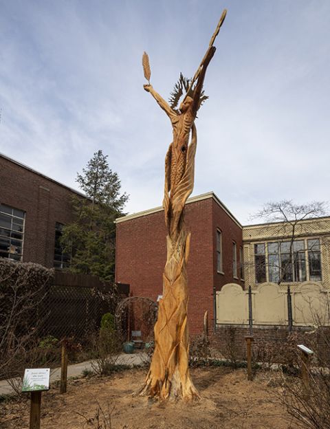 An old maple tree under which sisters used to gather has been carved into an angel reaching almost 30 feet into the sky. (Courier Journal/Pat McDonogh)