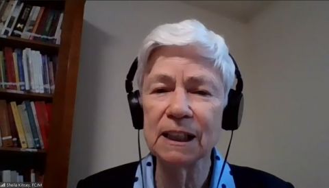 Sr. Sheila Kinsey, who heads the Sowing Hope for the Planet campaign for the International Union of Superiors General, moderates a June 9 webinar, "Moving Forward with the Laudato Si' Action Platform," which was hosted by UISG and attended by approximatel