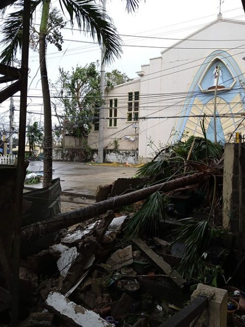 Fallen trees on top of the rubble of the gate of the convent of the Missionary Sisters of Mary in Lapu-Lapu City, Cebu province. (Courtesy of Missionary Sisters of Mary) Fallen trees on top of the rubble of the gate of the convent of the Missionary Sisters of Mary in Lapu-Lapu City, Cebu province. (Courtesy of Missionary Sisters of Mary)