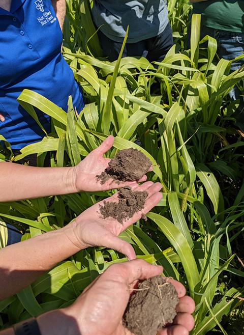 Gabe Brown, Sr. Janice Klein and others examine soil on his farm in North Dakota. Regenerative farming focuses on restoring the health of soil through natural means. (Presentation Sisters of the Blessed Virgin Mary/Jared Hohn) 