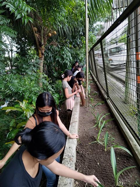 The sisters' students tend to new plants in the park they are rehabilitating in Bacolod, Negros Occidental, Philippines. (Courtesy of the Sisters of the Good Samaritan)