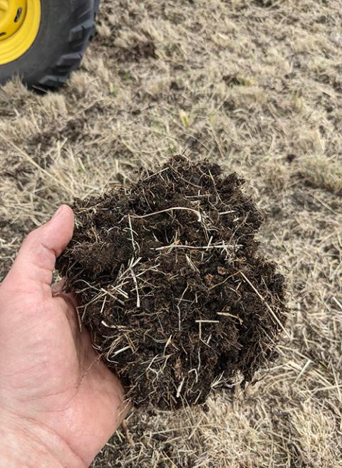 One aspect of regenerative farming is to use crop rotation and diversity seeding rather than monoculture, which depletes soil, shown here on land in South Dakota owned by the Presentation Sisters of the Blessed Virgin Mary. The congregation is adopting regenerative farming approaches to restore the soil. (Presentation Sisters of the Blessed Virgin Mary/Jamie Risse)