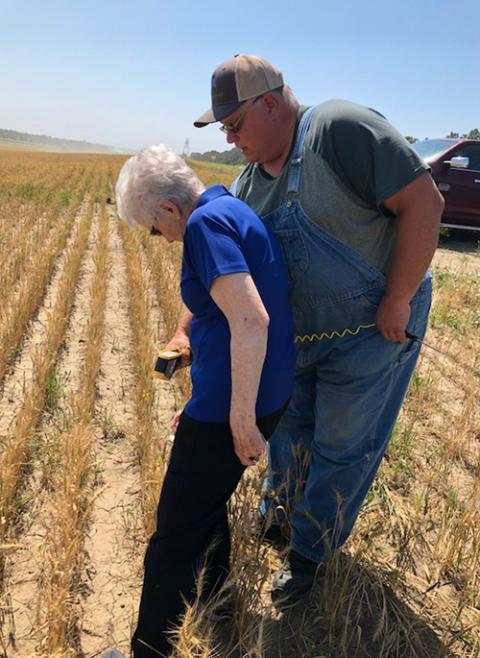 Sr. Janice Klein, former president of the Presentation Sisters of the Blessed Virgin Mary, South Dakota, is pictured with Gabe Brown, a regenerative farming expert, on his farm in North Dakota in August 2022. (Presentation Sisters of the Blessed Virgin Mary/Jamie Risse)