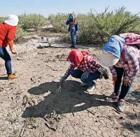 Benedictine Sr. Mariana Olivo Espinoza, in the blue scarf, and others search for human remains in Mexico in 2018. (Courtesy of Mariana Olivo Espinoza)