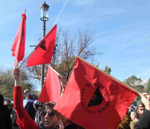 United Farm Workers with flags at a 2010 rally (Wikimedia Commons/Martha Soukup)