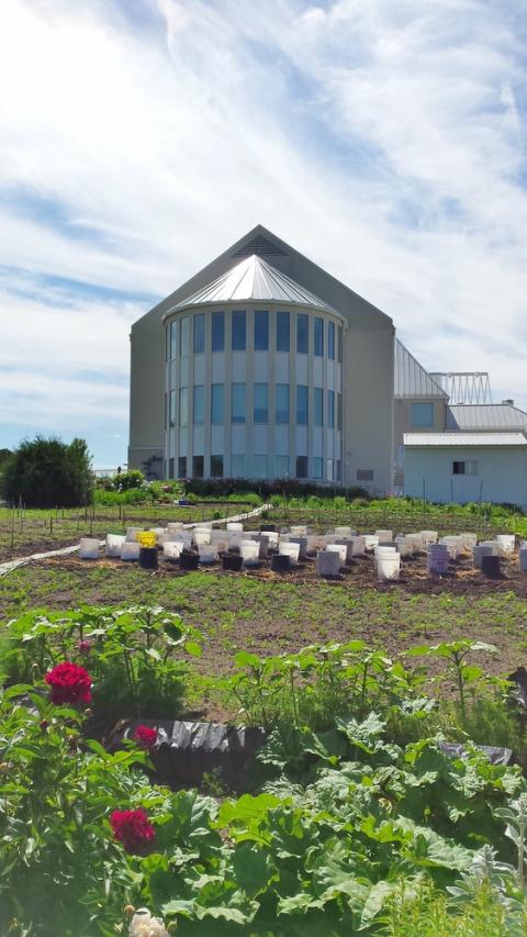 En el jardín del Monasterio Madre de Dios se ubica un sensor de temperatura. (Foto: cortesía https://watertownbenedictines.org/)