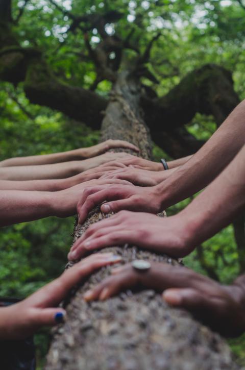 La fe crece en la medida en que ponemos en juego nuestras capacidades en la la vida comunitaria. (Foto: Unsplash)