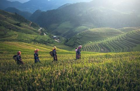 Visualiza a María de Nazaret caminando descalza por los campos. (Foto: Pixabay)