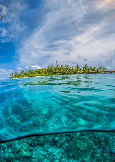 Este camino que voy a recorrer de afuera hacia adentro me gustaría compartirlo para que puedas también beber “el agua que brota de tu fuente”. (Foto: Unsplash)