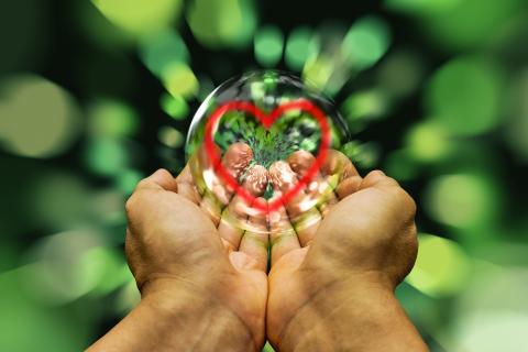Sabiduría del corazón "En todas las comunidades religiosas del mundo abunda la alegría, risas, historias y sabiduría que aquellos que nunca las han visitado difícilmente podrían imaginar": Hna. Helga Leija. (Foto: Pixabay)