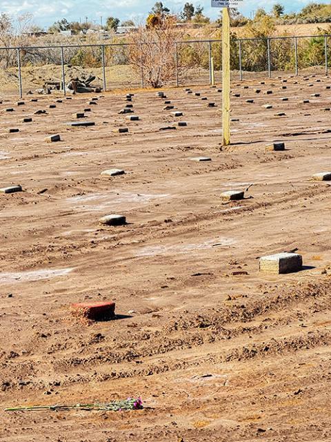 Unas flores que religiosas tiraron por encima de una valla el 7 de febrero de 2024 cayeron en un campo donde están enterrados migrantes anónimos en el cementerio Terrace Park en Holtville, California. (Foto: Rhina Guidos/GSR) 