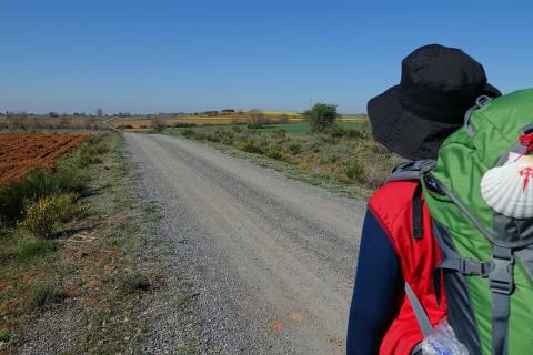 Camino de Santiago Camino de Santiago. (Foto: Pixabay/Xtberlin