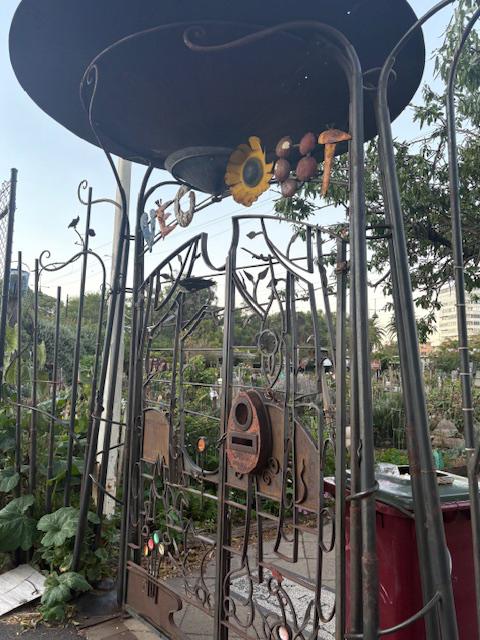 Veg Out Community Garden in St Kilda, Melbourne, a vibrant, volunteer-run space promoting sustainability and community connection (Karen Englebretsen)