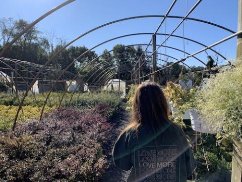 Former Good Shepherd volunteer Christina Hardebeck is the Collier Transition Program manager. She's pictured here walking through a nursery at a local farm on a fall day. (Maddie Thompson)