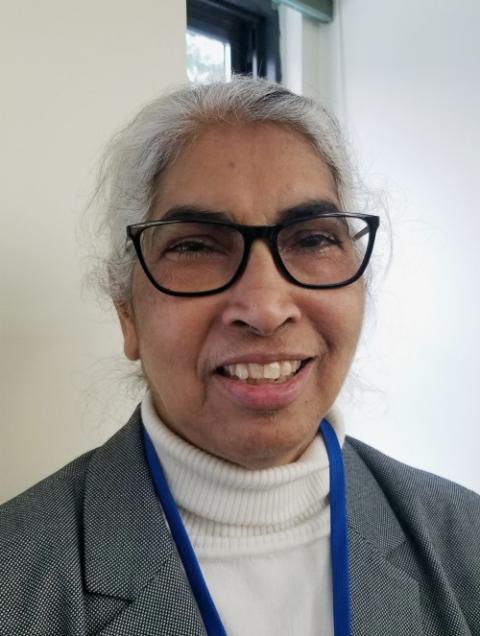 Sr. Teresa Kotturan, U.N. representative for the Sisters of Charity Federation (GSR file photo)