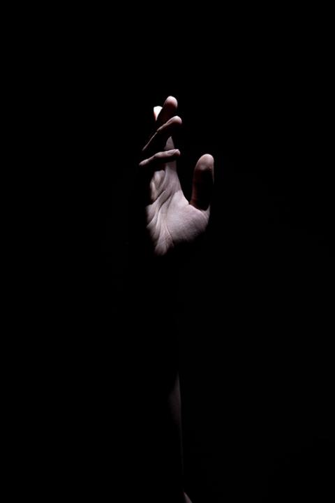 (Unsplash/Akira Hojo) (Unsplash/Akira Hojo)