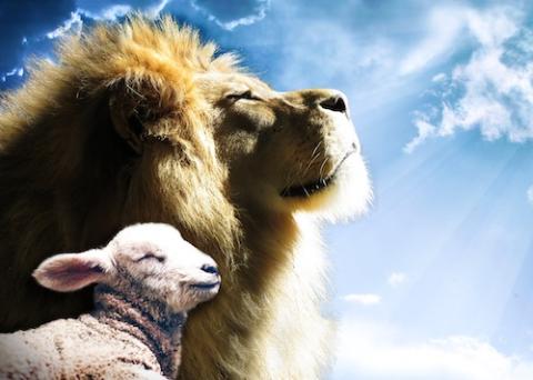 Photo illustration of a lion and lamb together, faces pointed skyward (Pixabay/Jeff Jacobs)
