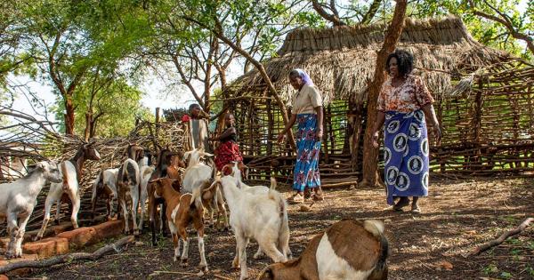 Monday Starter: Zambian congregation awarded 2025 Opus Prize