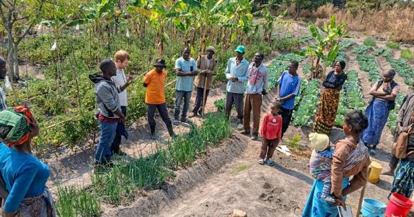 Zambian sisters lament funding hit to African climate programs after USAID shutdown